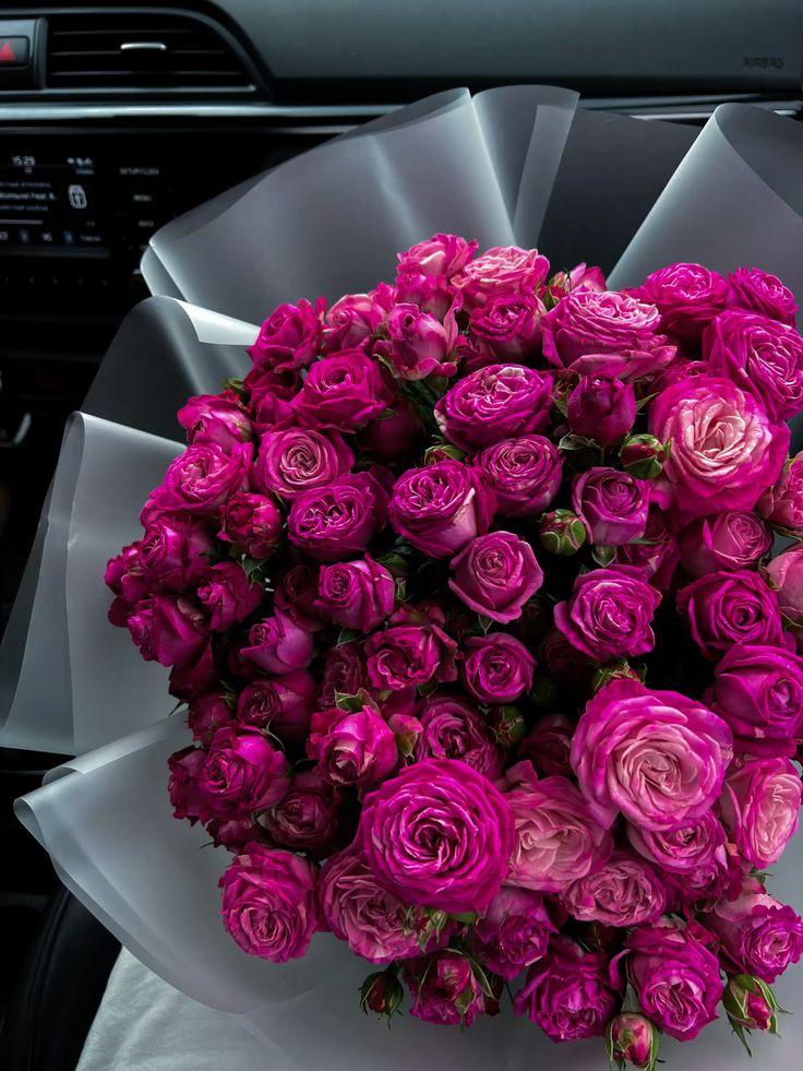 Harmony in Petals Pastel Medley